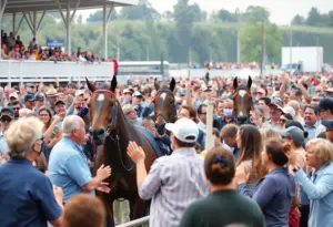 Crowd at NHC Qualifier celebrating the horse racing event